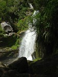 Wainui falls