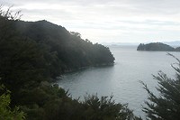 Kust aan de golden bay