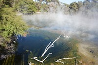mud pool midden in Rotorua