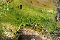 zwavel kleur en geur
