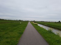 in de buurt van Moerkapelle
