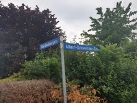 Albert Schweitzer kennen ze hier ook
