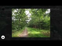 Woensdag 10 juli