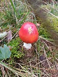 20191007_095702