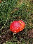 20191007_095648