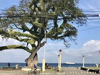 Boulevard Dumaquete