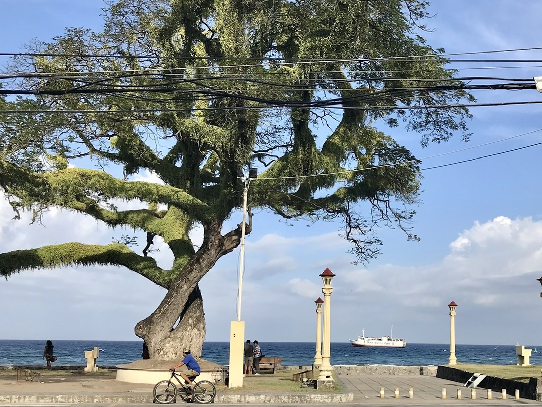 Boulevard Dumaquete