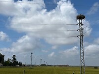 D38B1B8B-755E-4100-93D6-4881B151248C