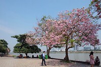 5C389B59-9508-4F21-BF19-F8A812B3BD57