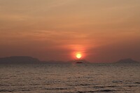 5431E06C-B2B8-4BA8-AAF3-4D69DA2EF845