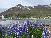 IMG_6096