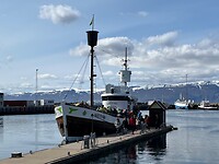 IMG_6101