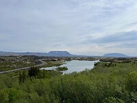 IMG_6117