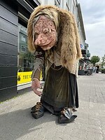 IMG_6122