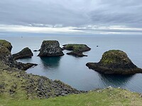 IMG_6176