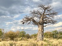 IMG_7844