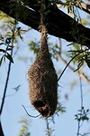 IMG_3392