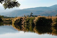 IMG_3393