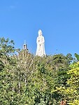 IMG_8704
