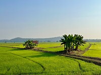 IMG_8775