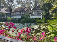 IMG_8787