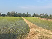 IMG_8825
