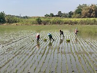 IMG_8851
