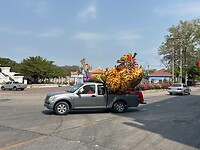 IMG_8889