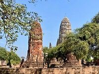 IMG_8954