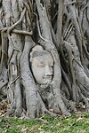 IMG_8976