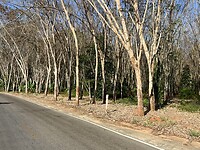IMG_9455