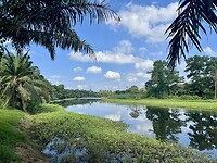 IMG_9456