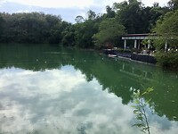 IMG_3454