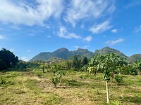 IMG_9465