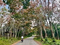 IMG_9471