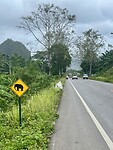 IMG_9494