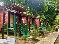 IMG_9495