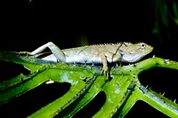 IMG_3455