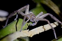 IMG_3460
