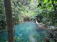 IMG_9547
