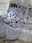 IMG_9564
