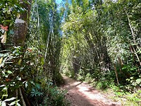 IMG_9579