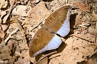 IMG_3463