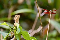 IMG_3464