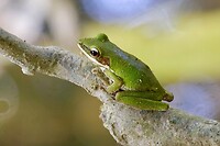 IMG_3466