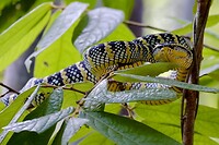 IMG_3469