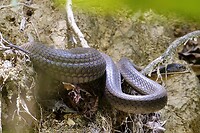 IMG_3472