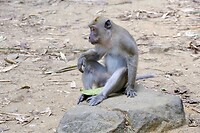 IMG_3478