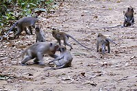 IMG_3479