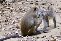 IMG_3480